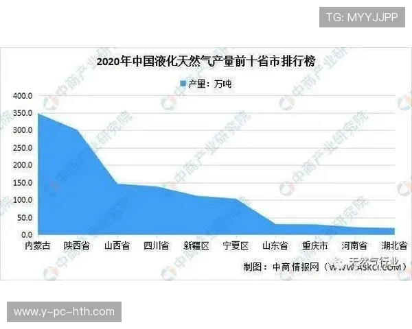 数据分析：液化天然气在市场竞争中的战术表现与策略优化探讨