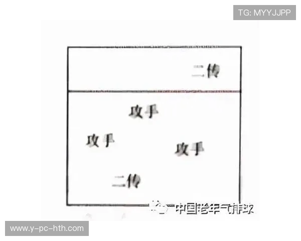 杭州排球队的战术调整与球员表现的深度分析与反思